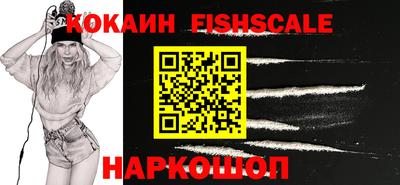 гидра Гай