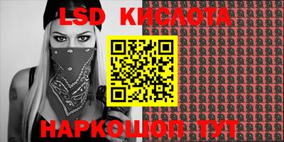 гидра Гай