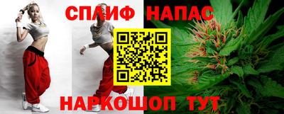 СК Гагарин