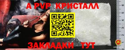 гидра Гай