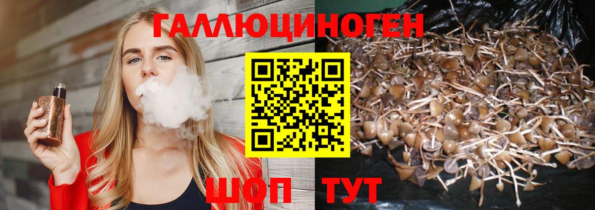 Галлюциногенные грибы мицелий Луховицы